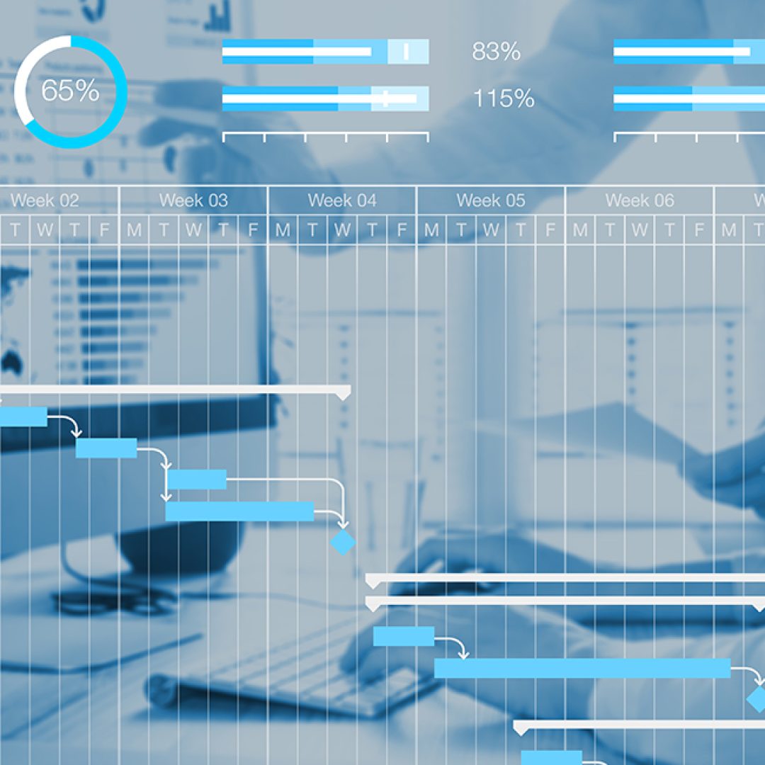 portfolio-services-project-management-1170x650-1